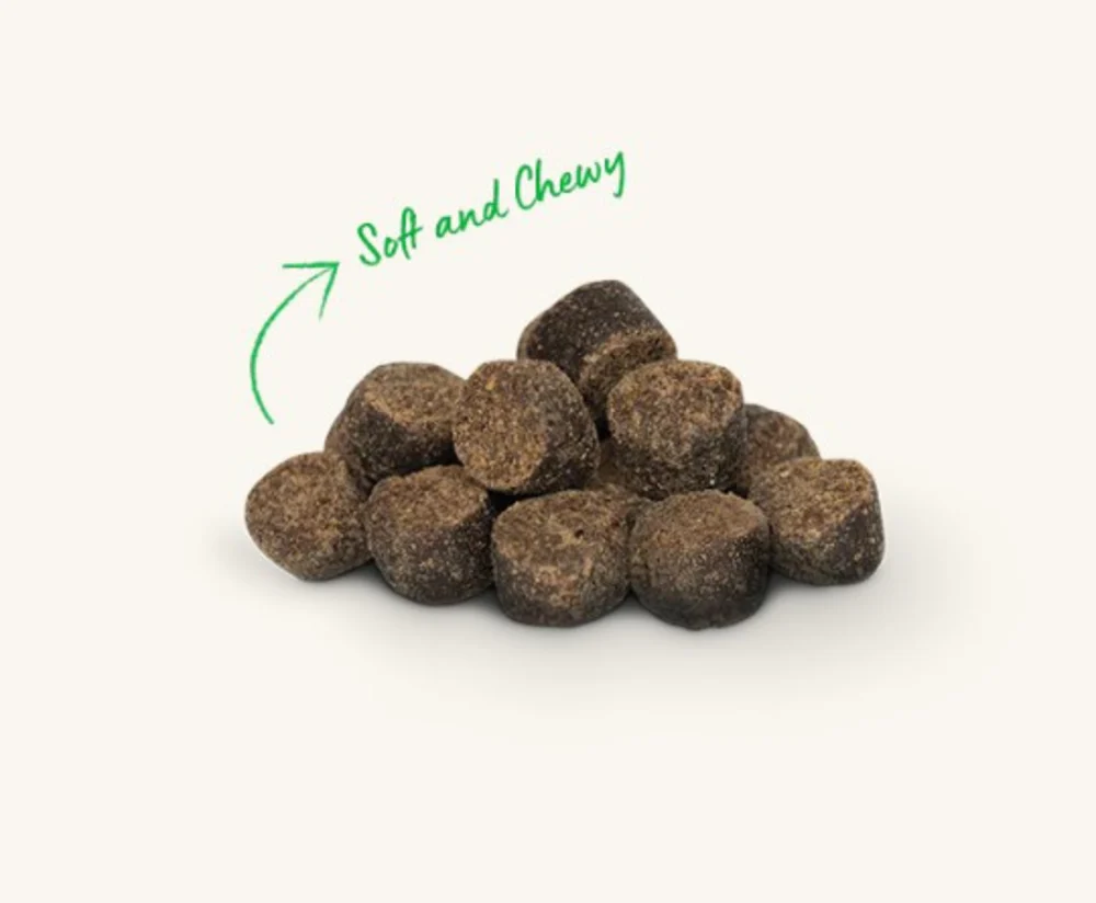 Open Farm Be Good Bites Plant Recipe with Pumpkin Soft & Chewy Treats - Image 2
