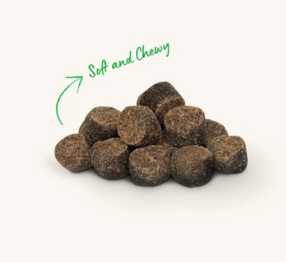 Open Farm Be Good Bites Turkey Recipe Soft & Chewy Treats - Image 3