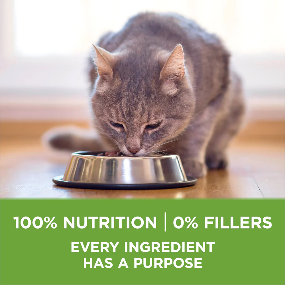 Purina ONE Indoor Advantage Hairball & Healthy Weight Formula Dry Cat Food - Image 4