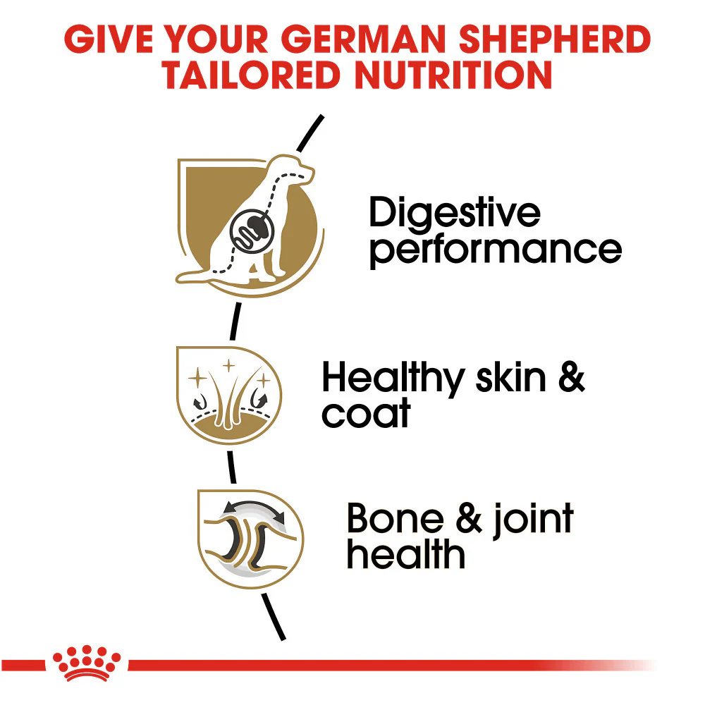 Royal Canin Breed Health Nutrition German Shepherd Adult Dry Dog Food - Image 3