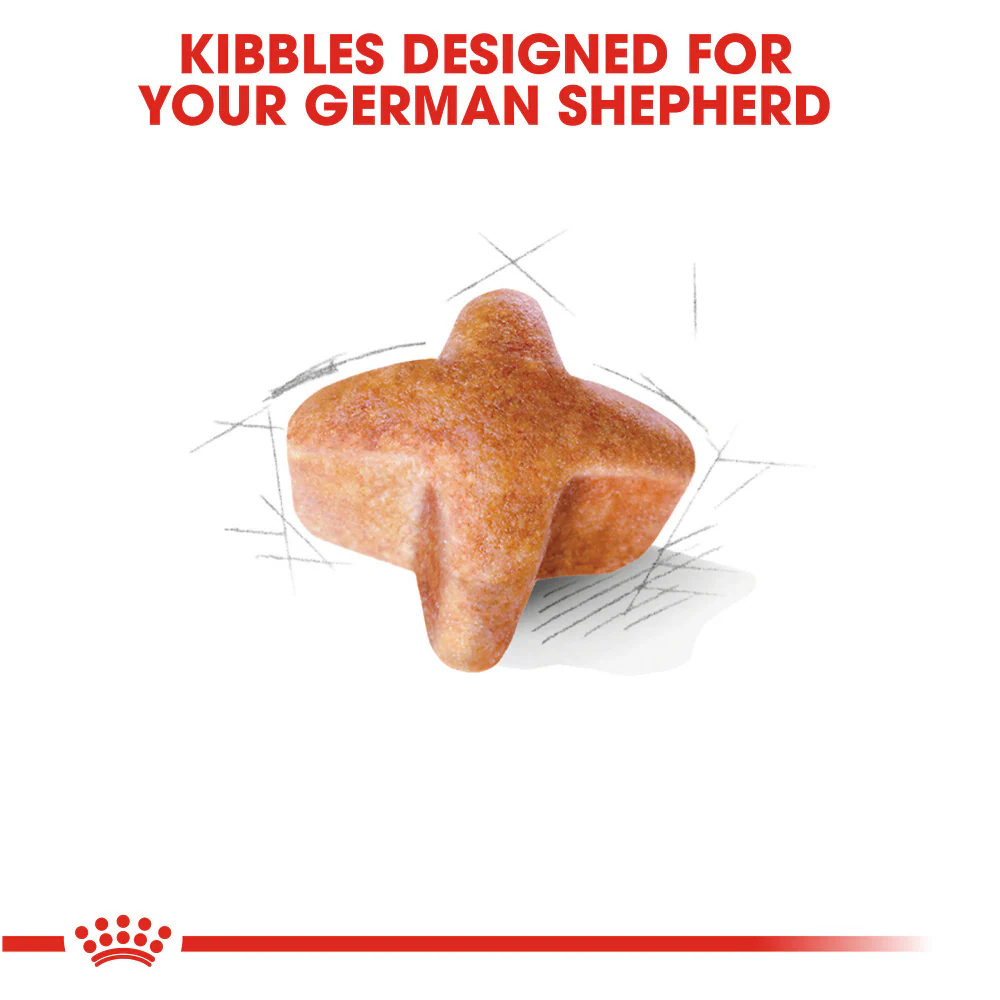 Royal Canin Breed Health Nutrition German Shepherd Adult Dry Dog Food - Image 4
