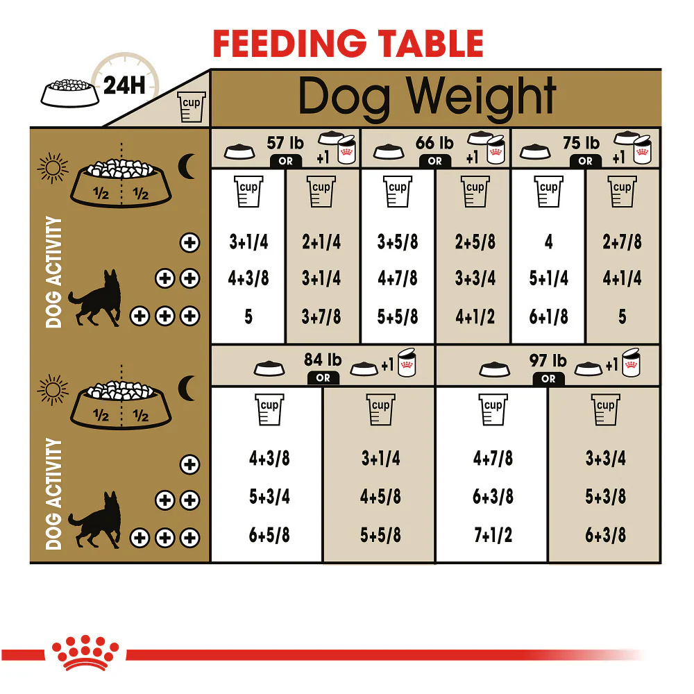 Royal Canin Breed Health Nutrition German Shepherd Adult Dry Dog Food - Image 6