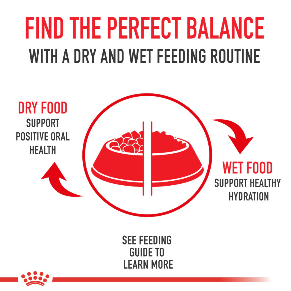 Royal Canin Size Health Nutrition Large Breed Adult Dry Dog Food - Image 4