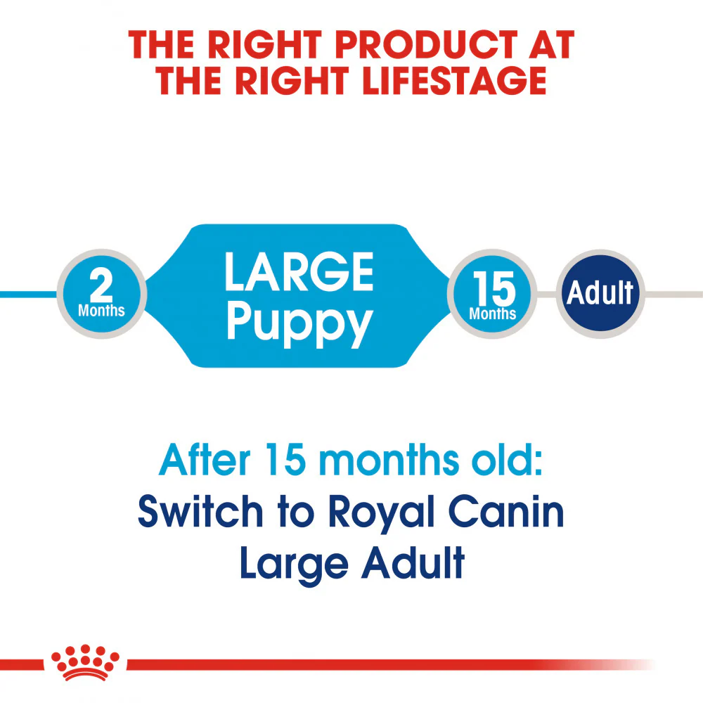 Royal Canin Size Health Nutrition Large Breed Puppy Dry Dog Food - Image 8