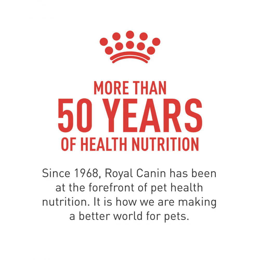 Royal Canin Size Health Nutrition Small Breed Adult Dry Dog Food - Image 5