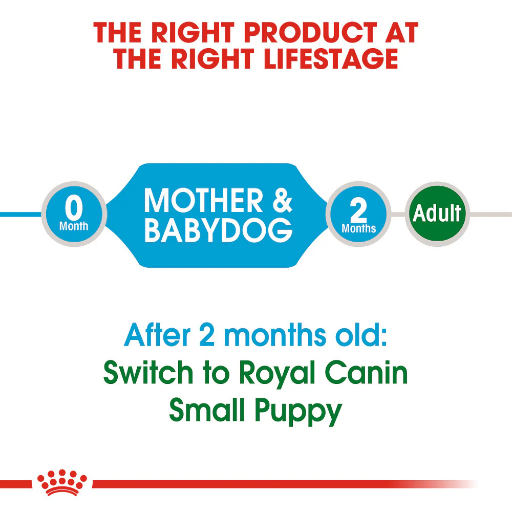 Royal Canin Small Breed Starter Babydog & Mother Dry Dog Food - Image 10