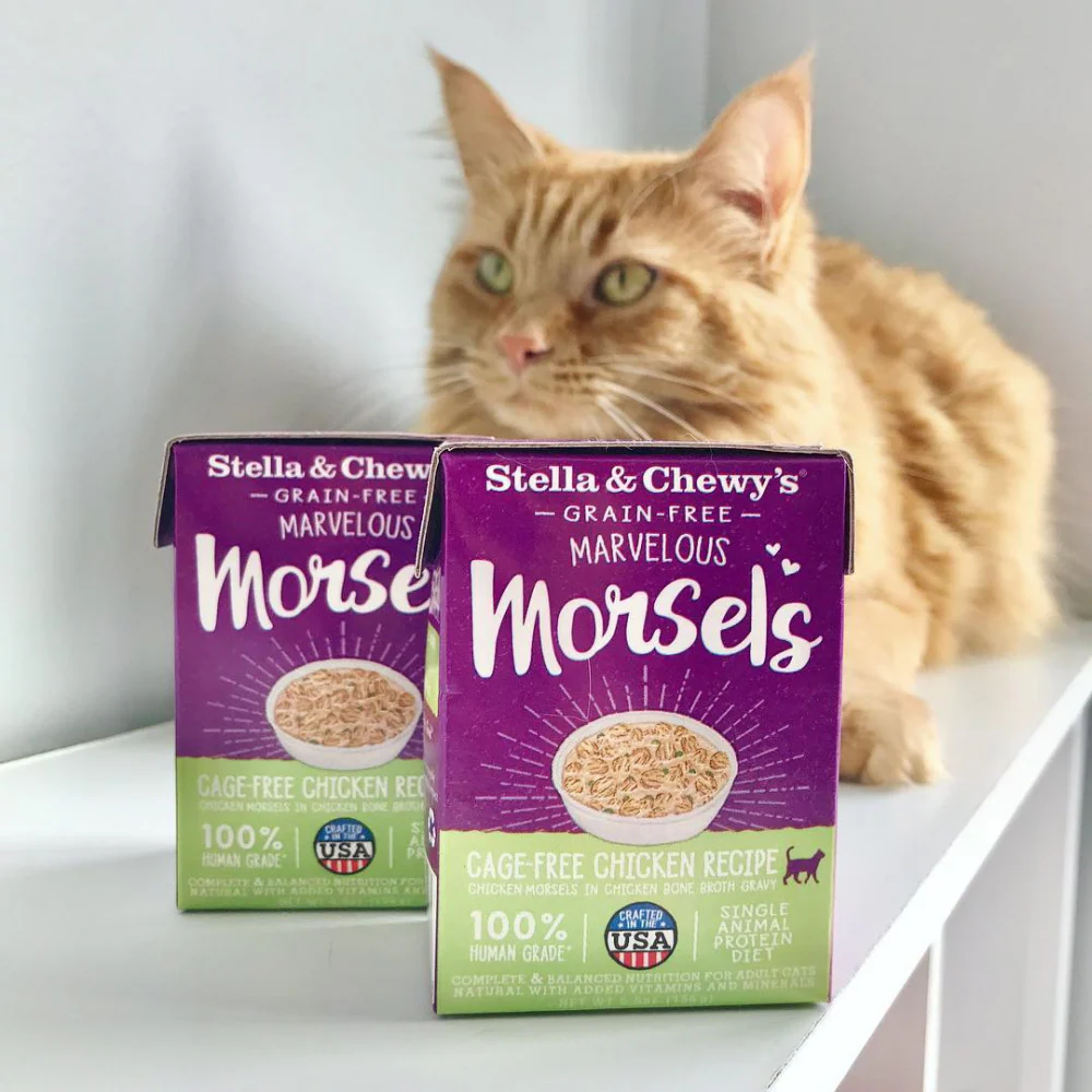 Stella & Chewy's Marvelous Morsels Cage Free Chicken Recipe Wet Cat Food - Image 3
