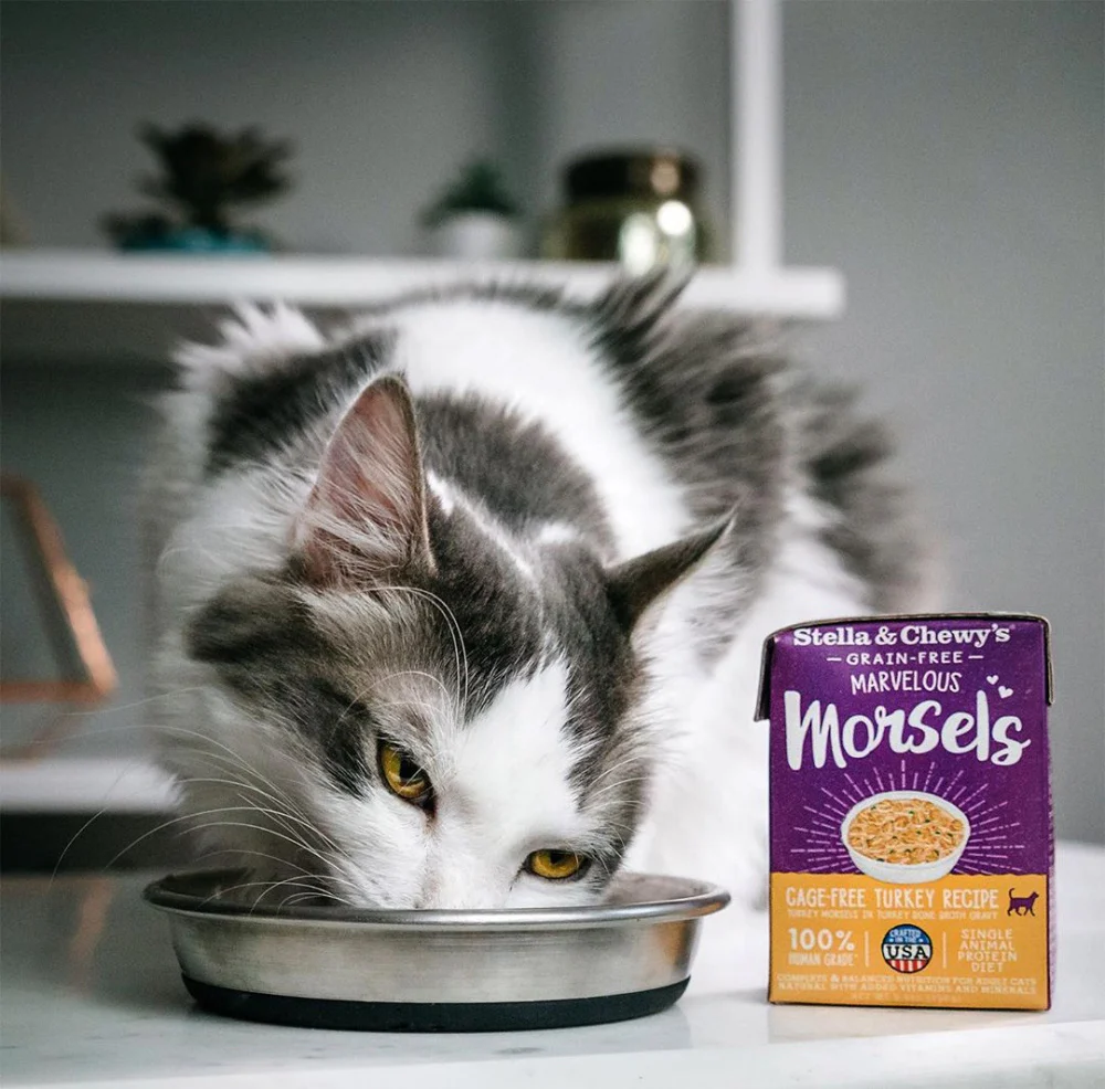 Stella & Chewy's Marvelous Morsels Cage Free Turkey Recipe Wet Cat Food - Image 2