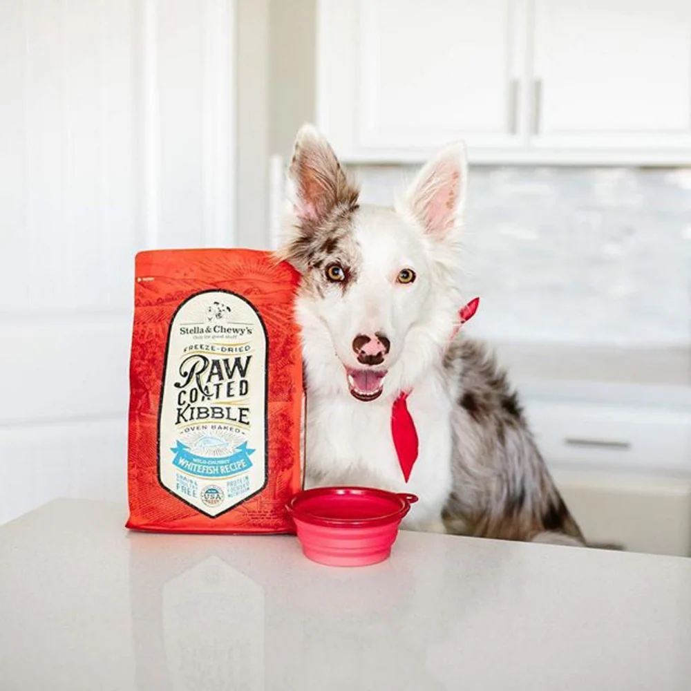 Stella & Chewy's Raw Coated Kibble Wild Caught Whitefish Recipe Dry Dog Food - Image 4