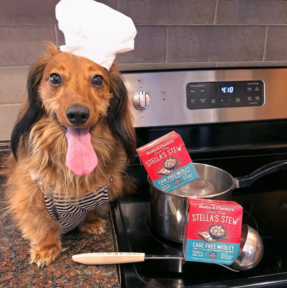 Stella & Chewy's Stella's Stew Cage Free Medley Recipe Food Topper for Dogs - Image 3