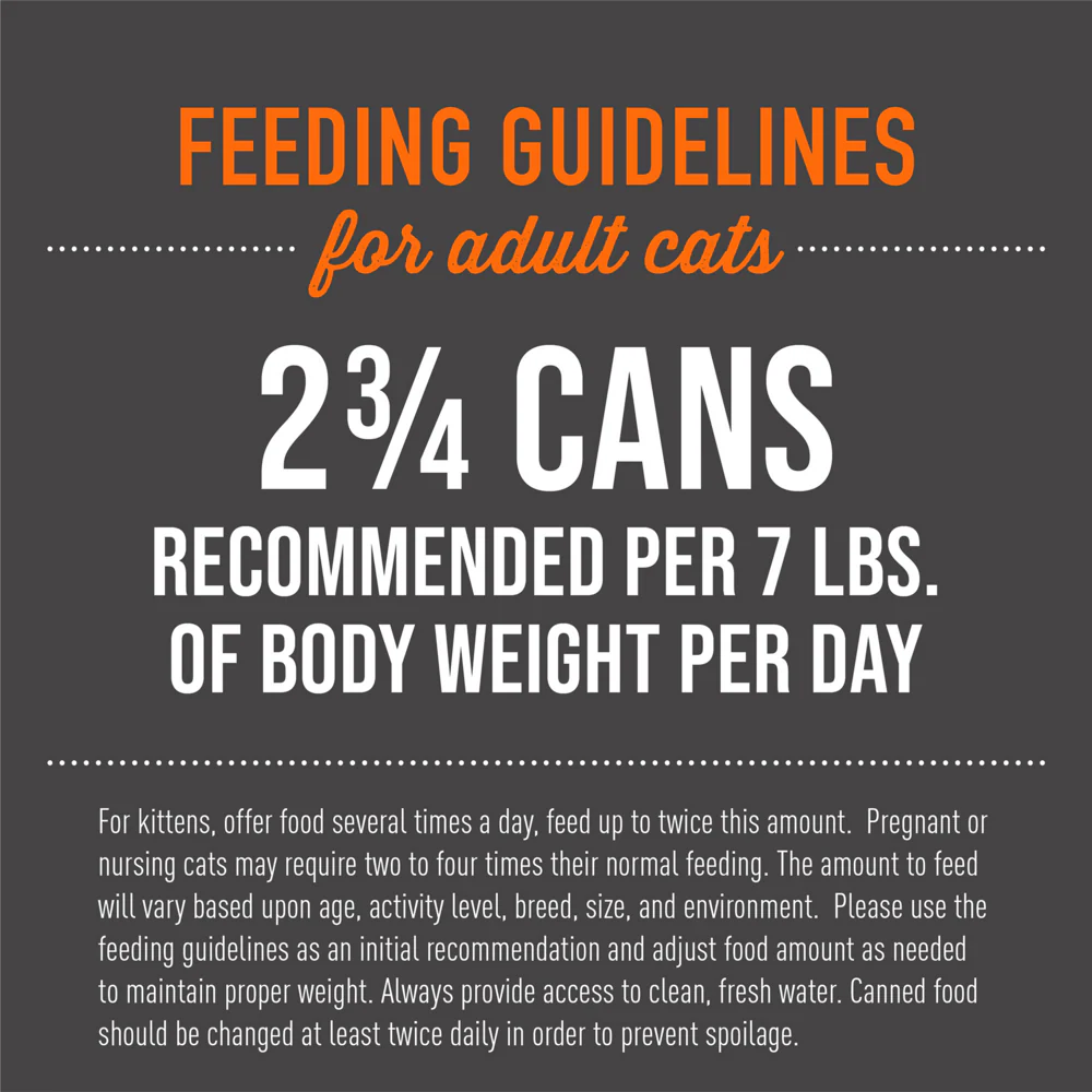 Tiki Cat Aloha Friends Grain Free Tuna with Pumpkin Canned Cat Food - Image 8