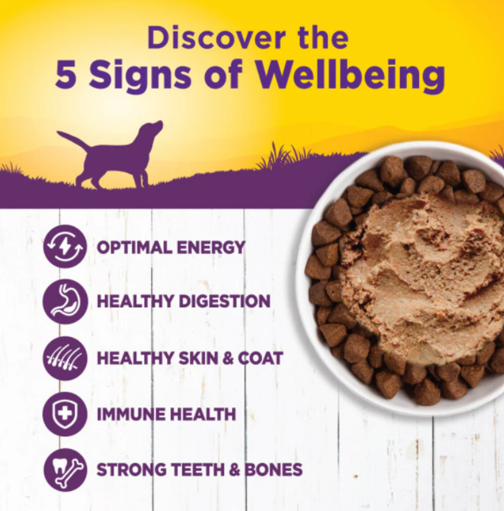 Wellness Complete Health Natural Chicken and Sweet Potato Recipe Wet Canned Dog Food - Image 3
