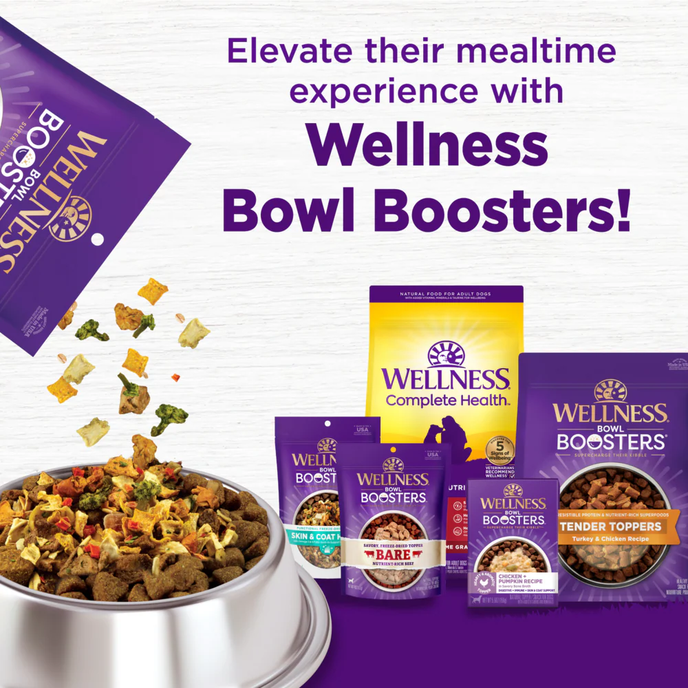 Wellness Complete Health Natural Chicken Recipe Dry Dog Food - Image 2