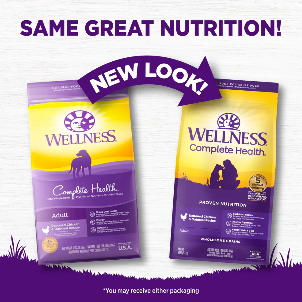 Wellness Complete Health Natural Chicken Recipe Dry Dog Food - Image 4