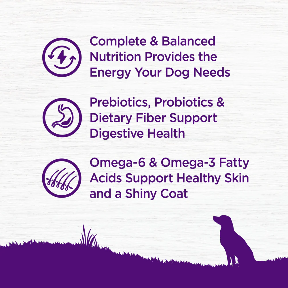 Wellness Complete Health Natural Chicken Recipe Dry Dog Food - Image 5