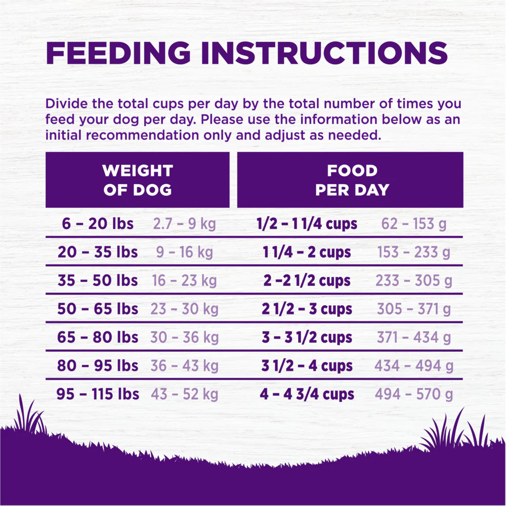 Wellness Complete Health Natural Chicken Recipe Dry Dog Food - Image 8