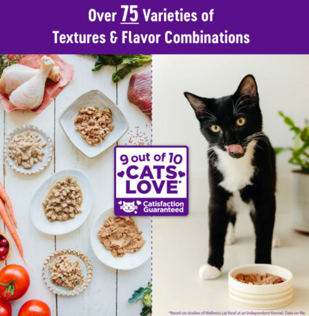 Wellness Complete Health Natural Grain Free Turkey and Salmon Pate Wet Canned Cat Food - Image 3