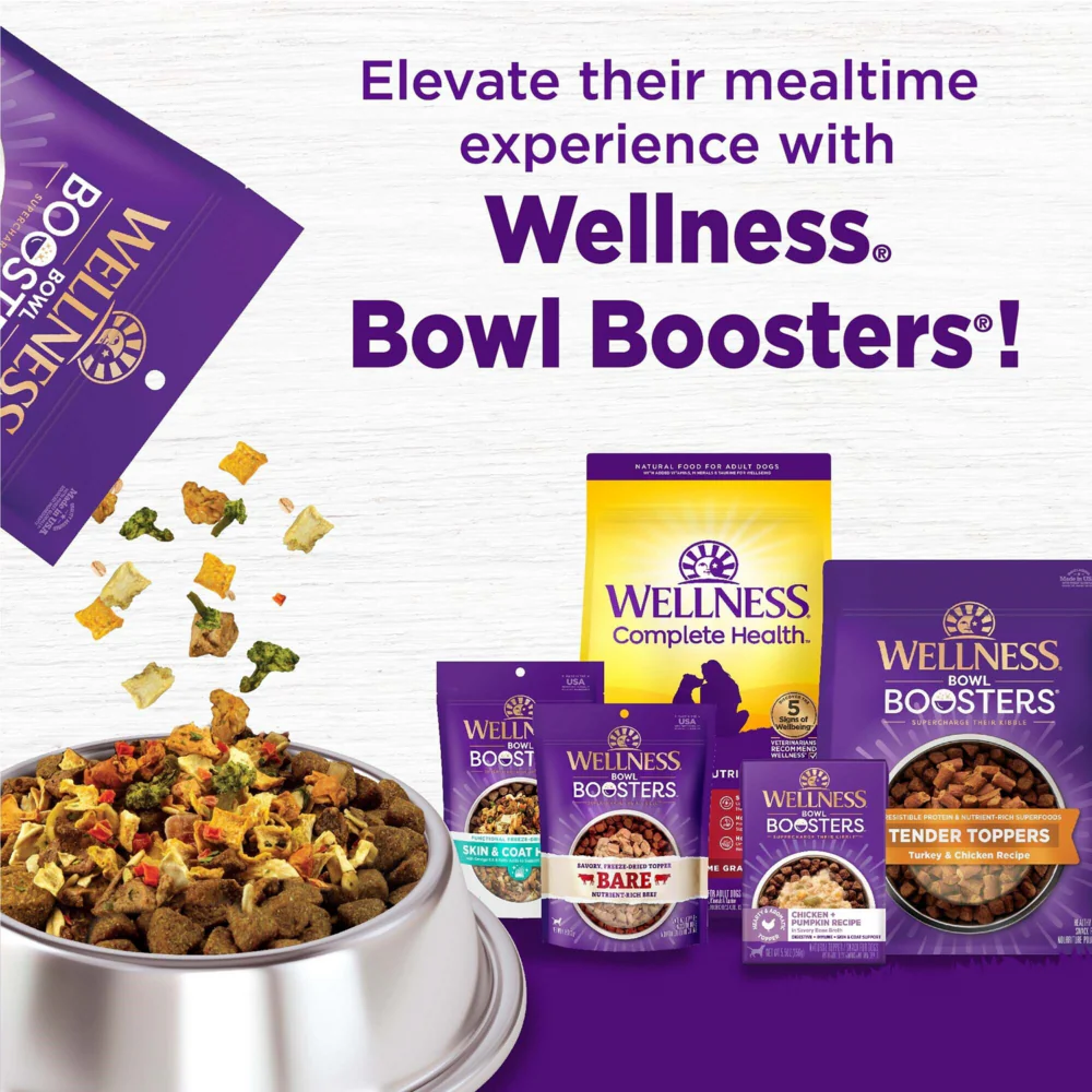 Wellness Complete Health Natural Lamb & Barley Recipe Dry Dog Food - Image 3