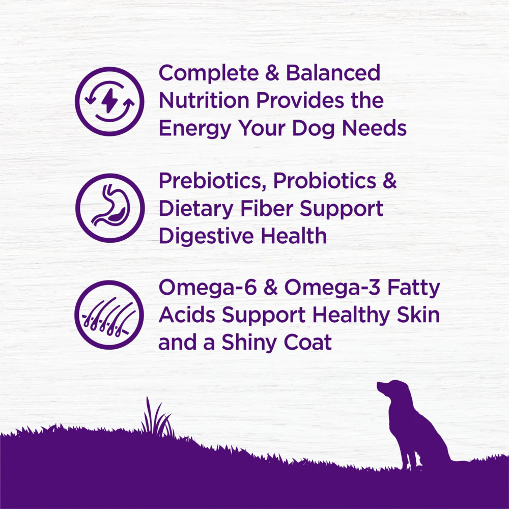 Wellness Complete Health Natural Lamb & Barley Recipe Dry Dog Food - Image 7