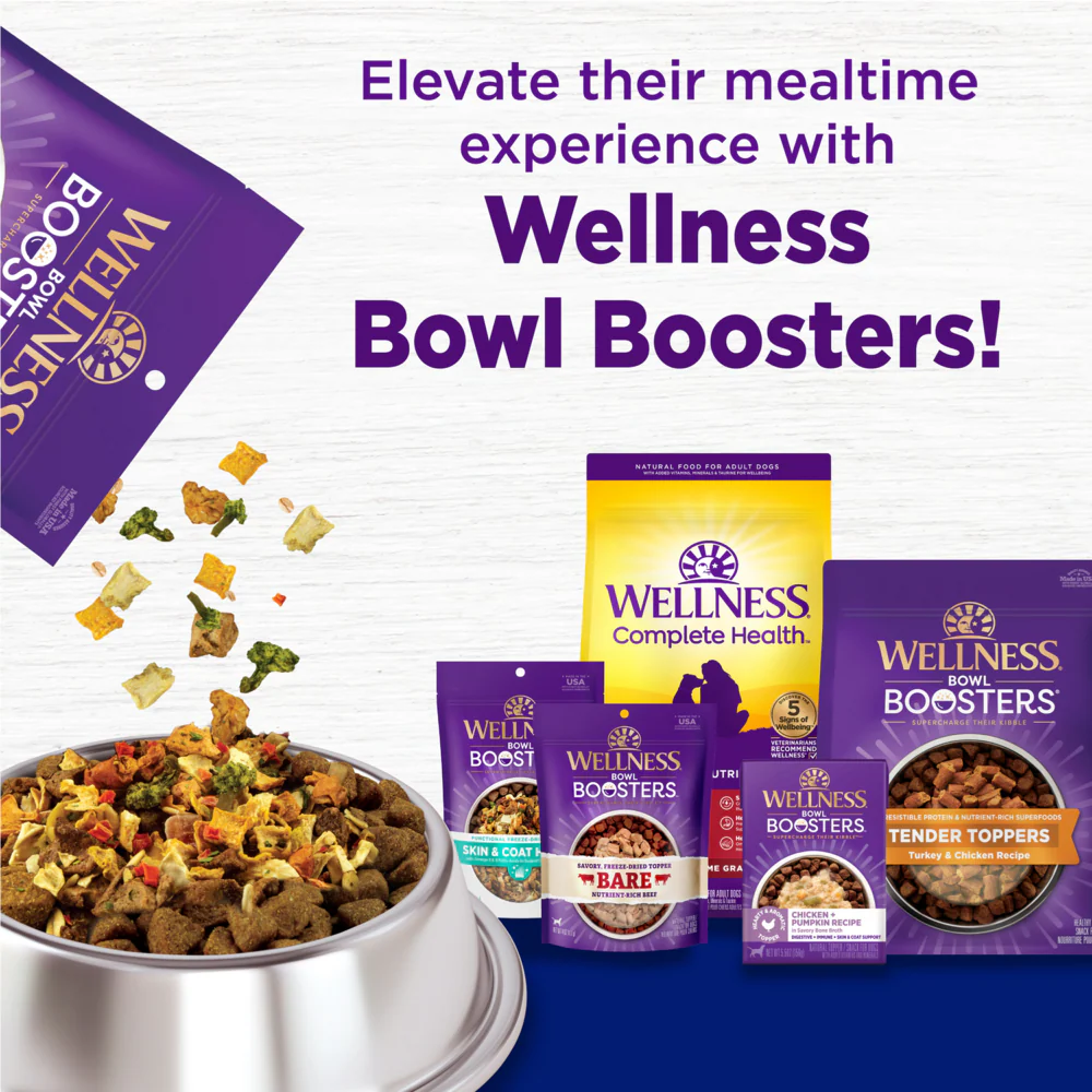Wellness Complete Health Natural Large Breed Puppy Chicken, Brown Rice and Salmon Recipe Dry Dog Food - Image 2