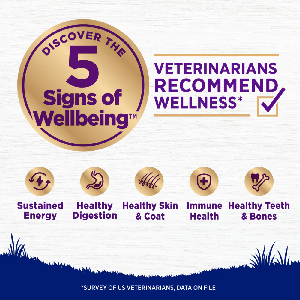 Wellness Complete Health Natural Large Breed Puppy Chicken, Brown Rice and Salmon Recipe Dry Dog Food - Image 5