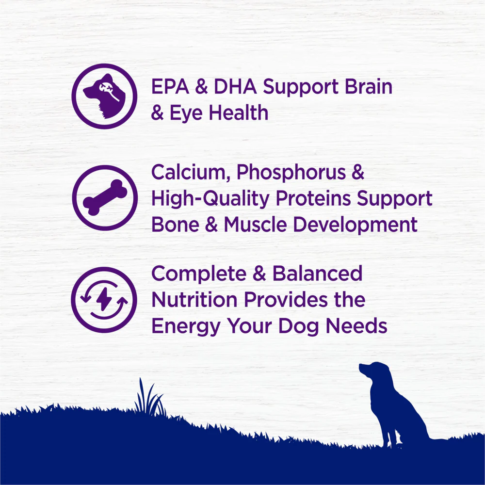 Wellness Complete Health Natural Large Breed Puppy Chicken, Brown Rice and Salmon Recipe Dry Dog Food - Image 6