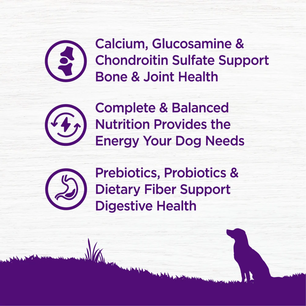 Wellness Complete Health Natural Senior Health Chicken Recipe Dry Dog Food - Image 3
