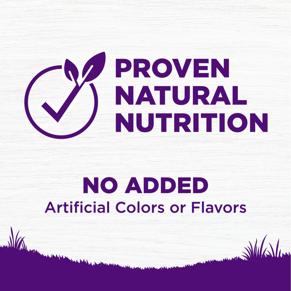 Wellness Complete Health Natural Senior Health Chicken Recipe Dry Dog Food - Image 4