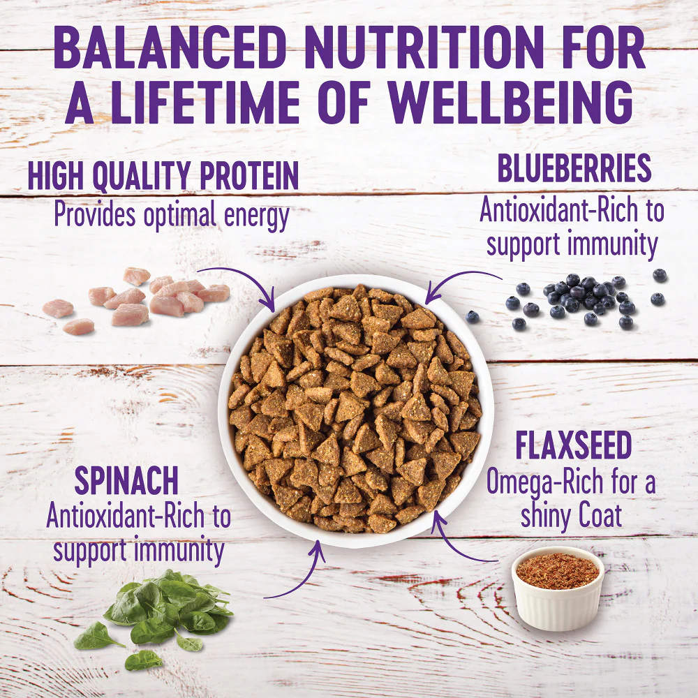 Wellness Complete Health Natural Small Breed Adult Turkey and Oatmeal Recipe Dry Dog Food - Image 3