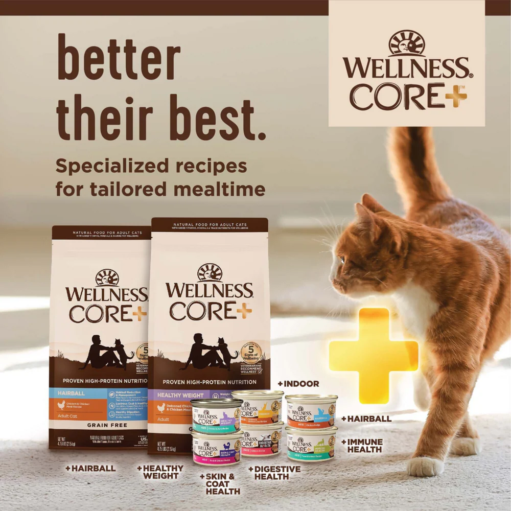 Wellness CORE Grain Free Natural Indoor Health Chicken and Turkey Recipe Dry Cat Food - Image 2