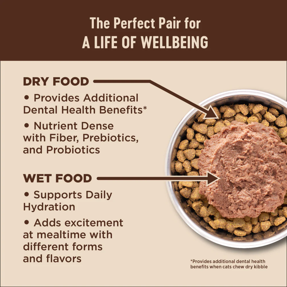 Wellness CORE Grain Free Natural Indoor Health Chicken and Turkey Recipe Dry Cat Food - Image 6