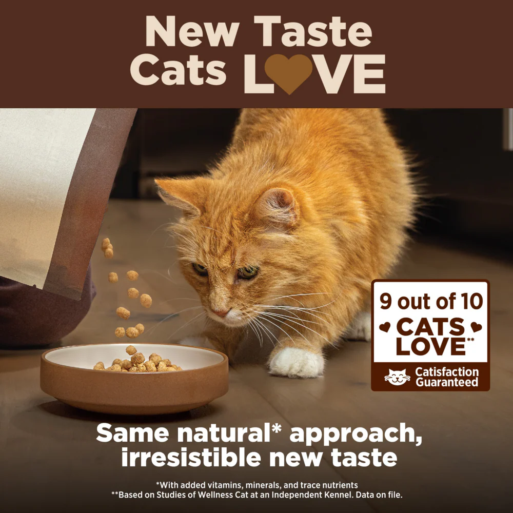 Wellness CORE Grain Free Natural Indoor Health Chicken and Turkey Recipe Dry Cat Food - Image 9