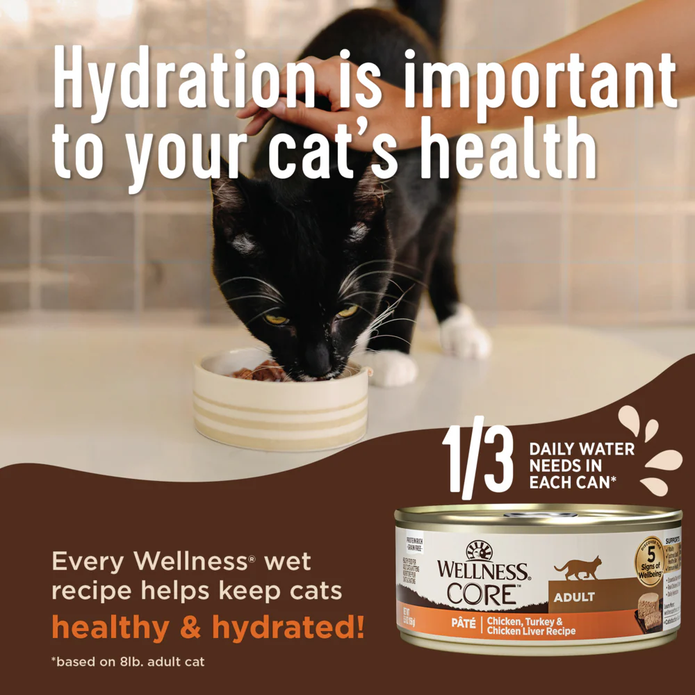 Wellness CORE Grain Free Natural Kitten Health Turkey and Chicken Smooth Pate Canned Cat Food - Image 10