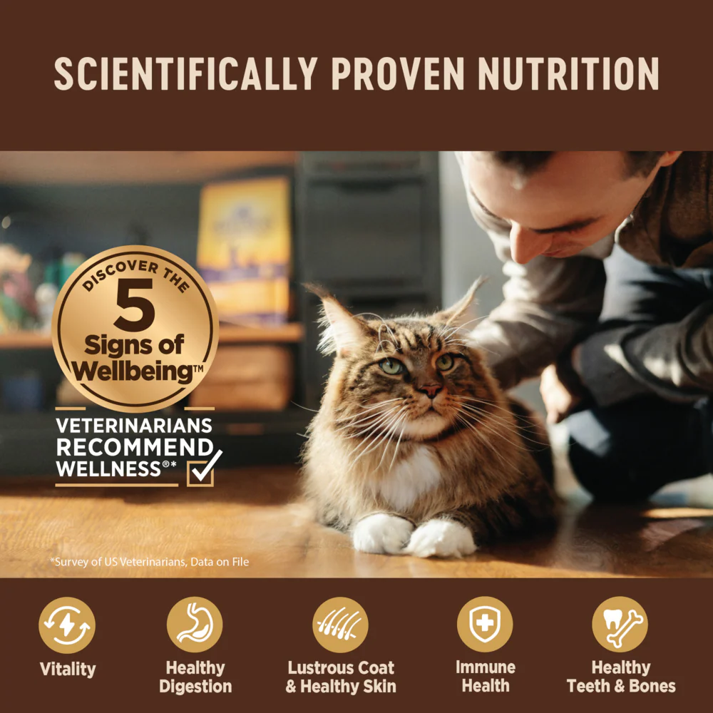 Wellness CORE Grain Free Natural Kitten Health Turkey and Chicken Smooth Pate Canned Cat Food - Image 11