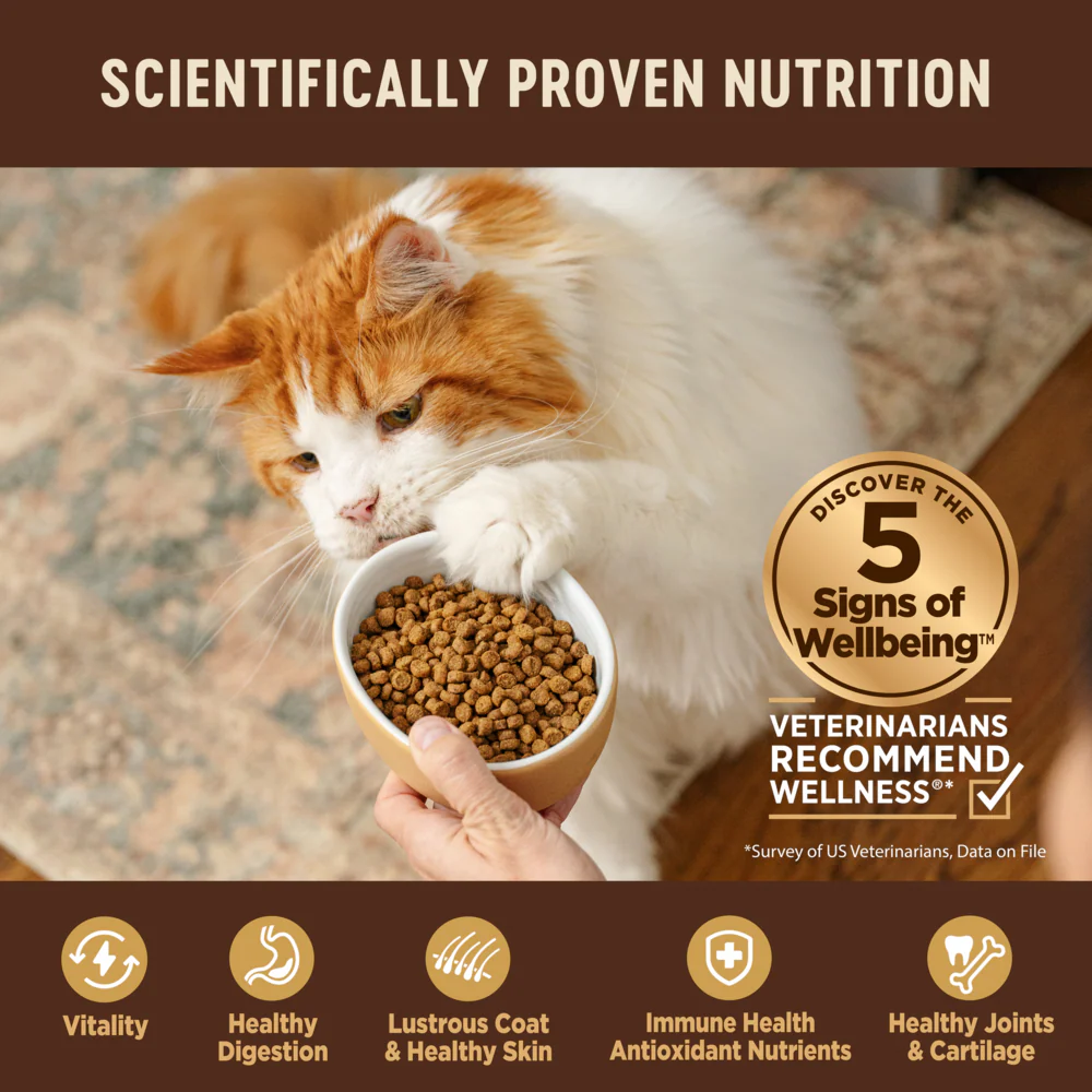 Wellness CORE Natural Grain Free Original Formula Recipe Dry Cat Food - Image 8