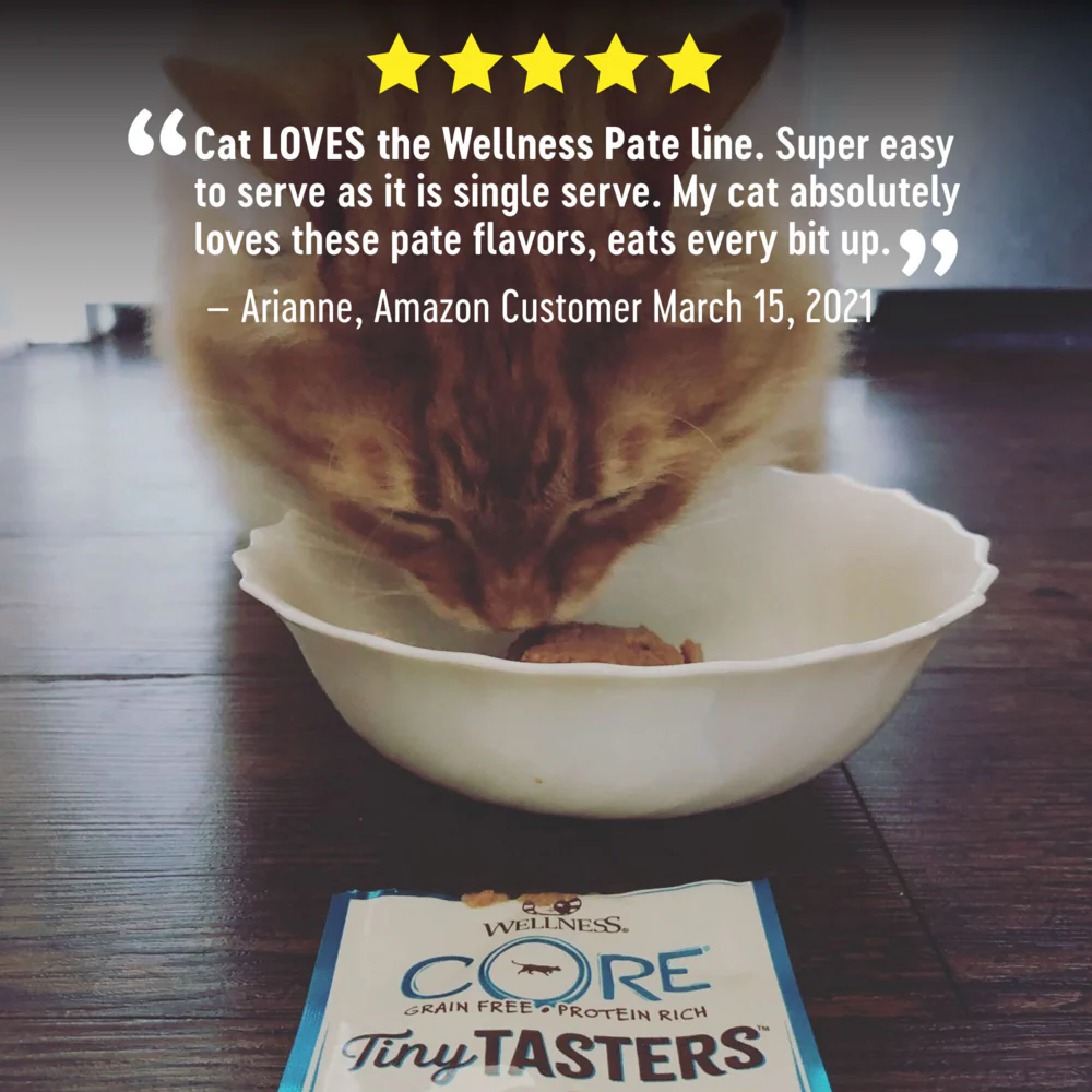 Wellness CORE Tiny Tasters Chicken & Beef Pate Wet Cat Food - Image 7