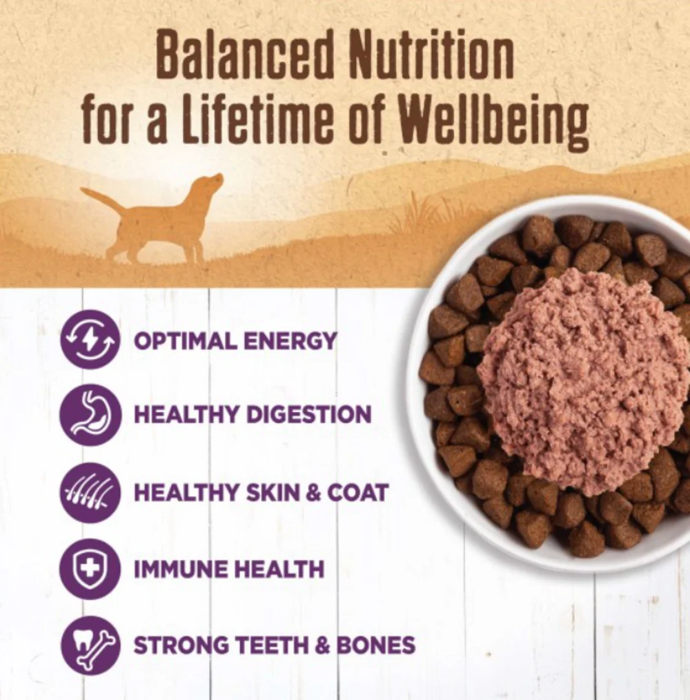 Wellness Natural Grain Free 95% Chicken Recipe Adult Wet Canned Dog Food - Image 3