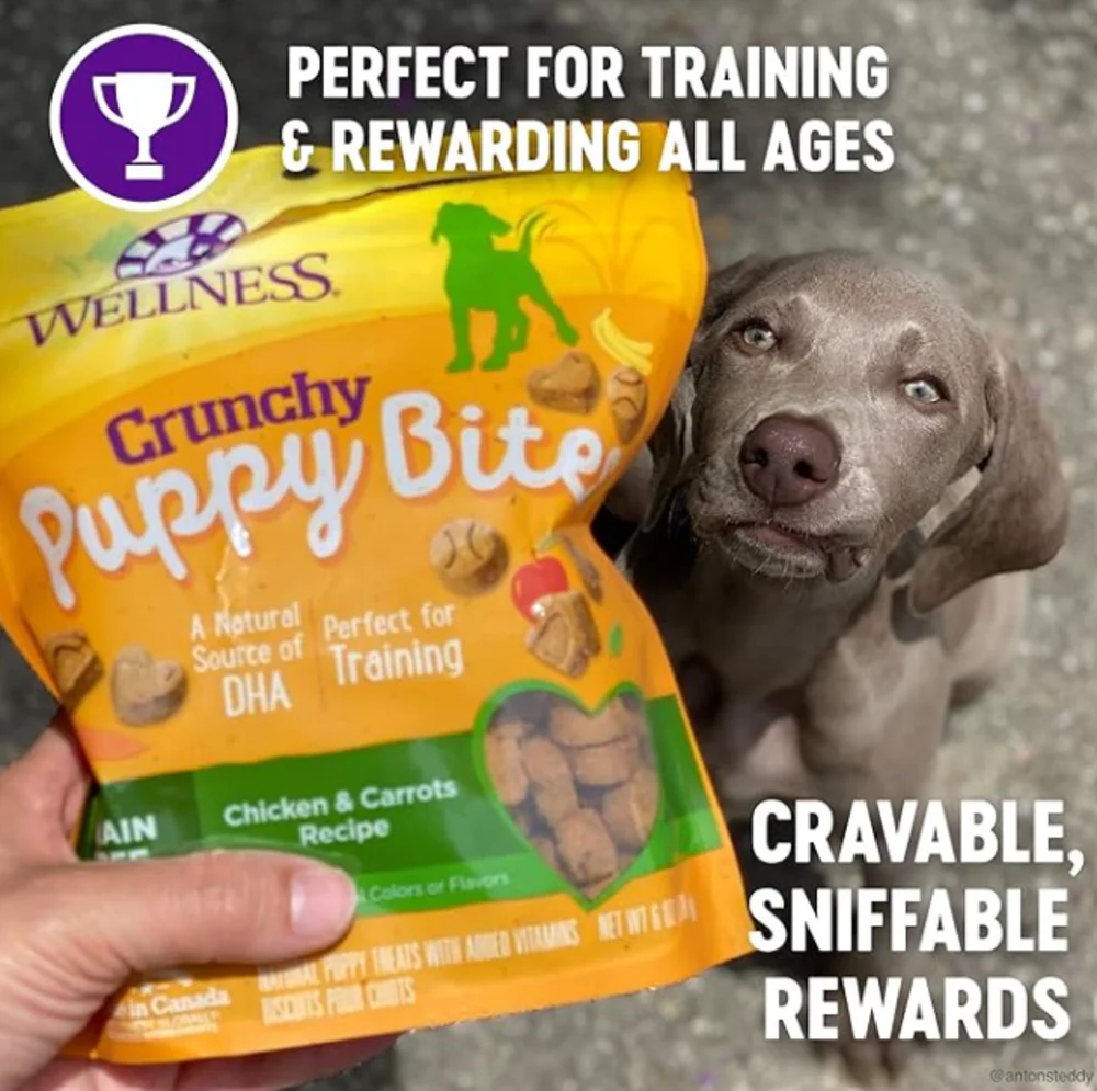 Wellness Natural Grain Free Crunchy Puppy Bites Chicken and Carrots Recipe Dog Treats - Image 4