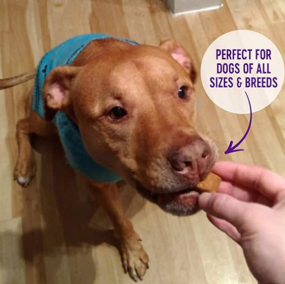 Wellness Natural Grain Free Wellbars Crunchy Yogurt, Apples and Bananas Recipe Dog Treats - Image 4