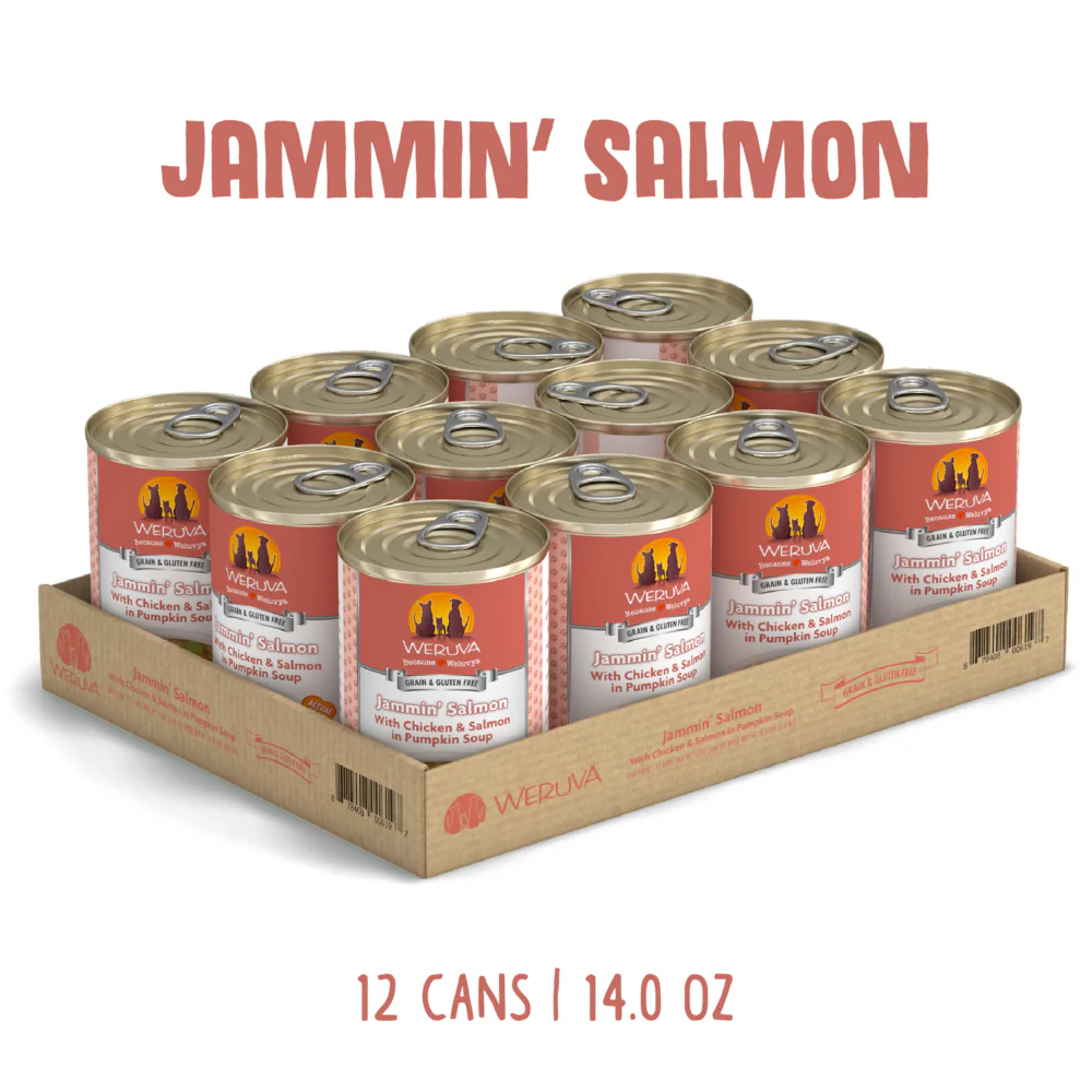 Weruva Jammin Salmon with Chicken & Salmon in Pumpkin Soup Canned Dog Food - Image 3